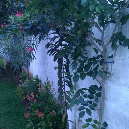 Umaya Holiday Home Anuradhapura Eksteriør billede