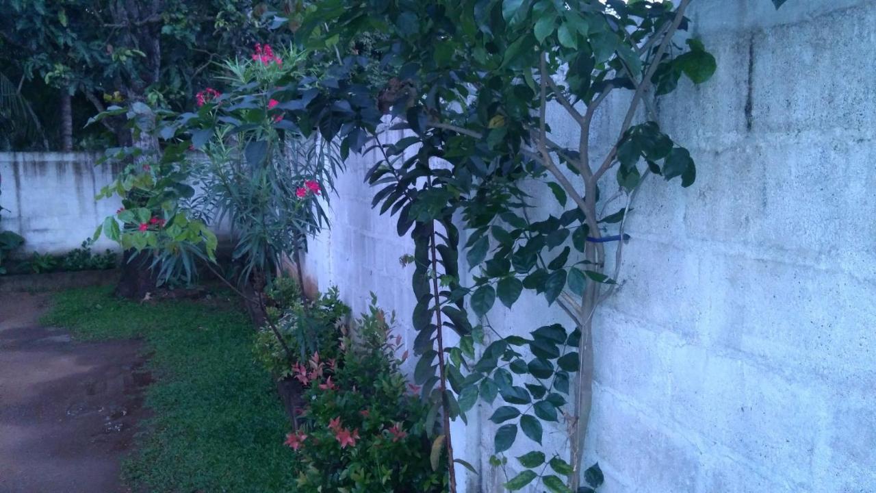 Umaya Holiday Home Anuradhapura Eksteriør billede